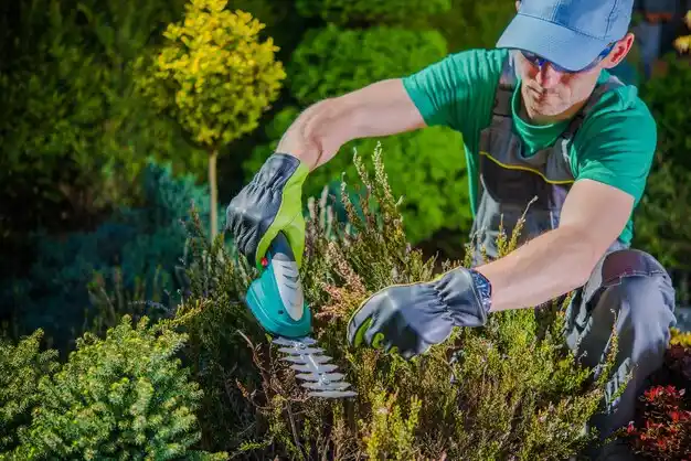 landscaping services West Farmington